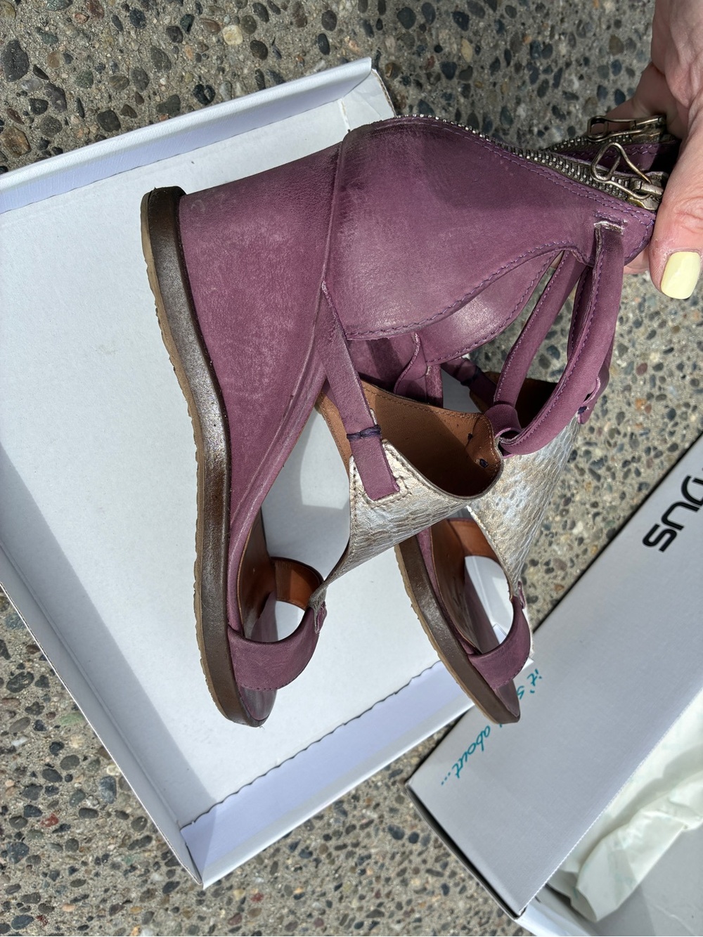 MJUS - Plum Leather Sandals with Snake-Print T Panel - Picture 5 of 7